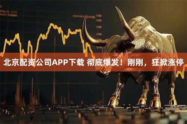 北京配资公司APP下载 彻底爆发！刚刚，狂掀涨停