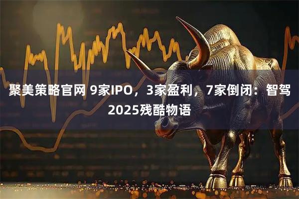 聚美策略官网 9家IPO，3家盈利，7家倒闭：智驾2025残酷物语